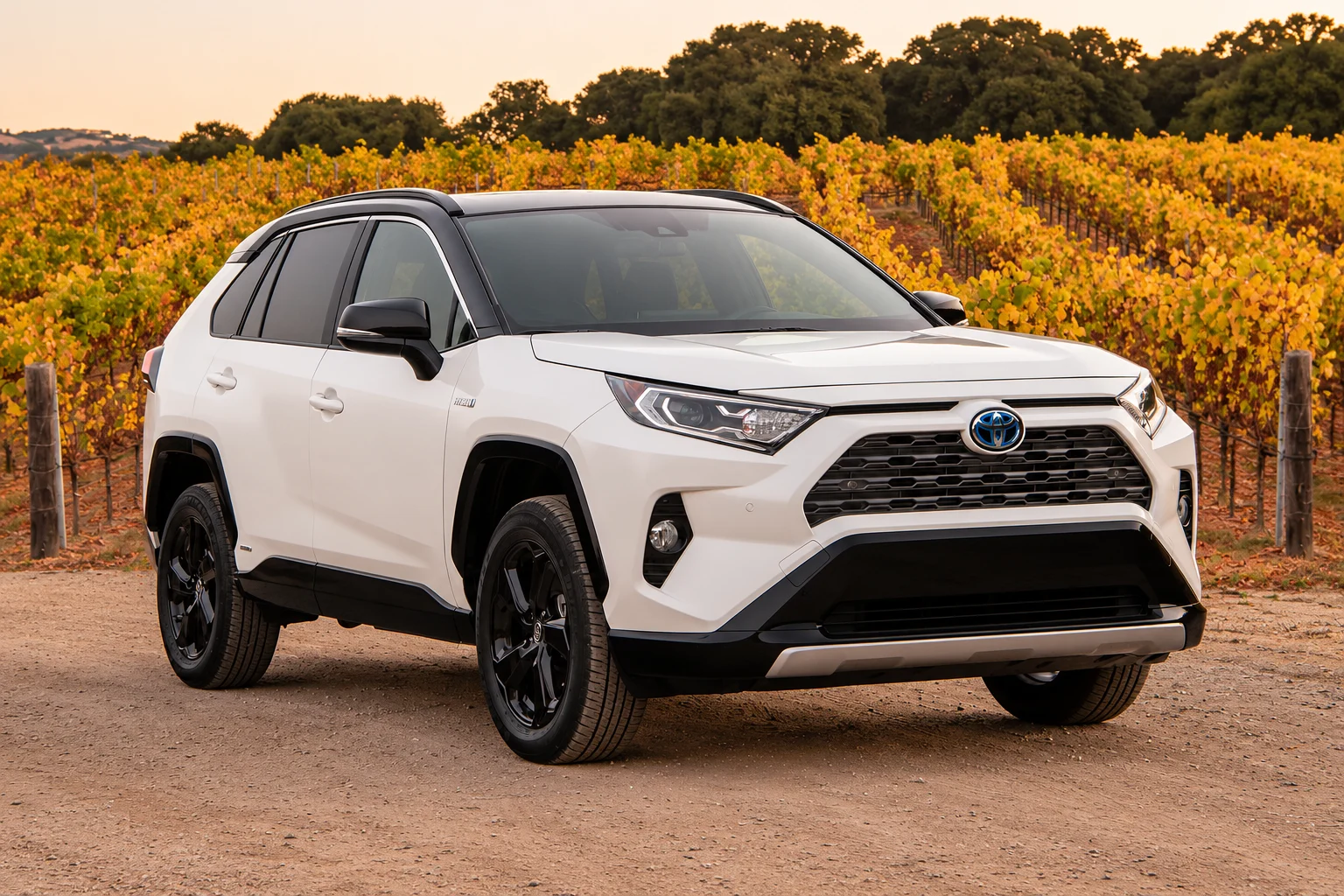 White Toyota RAV4 Hybrid in Autumn Vineyard